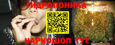 стаф Шебекино