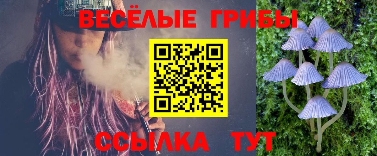 Галлюциногенные грибы ЛСД Кимры