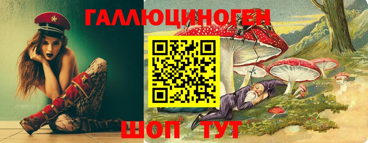 Галлюциногенные грибы мухоморы  Вход с VPN  Кимры  Псилоцибиновые грибы мухоморы 